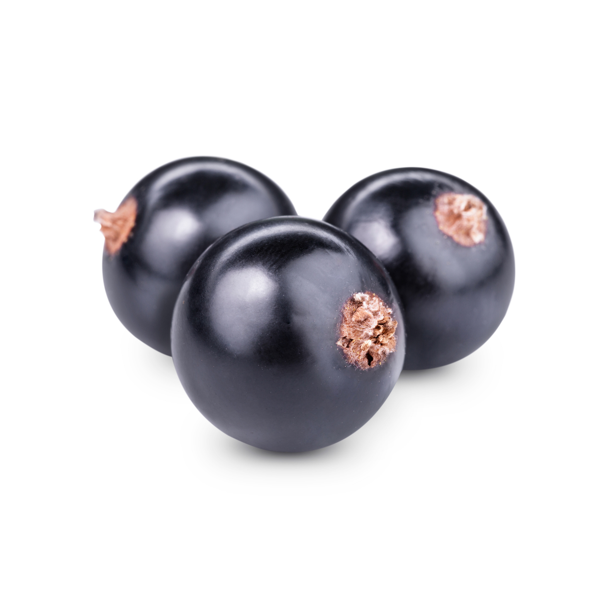Blackcurrant
