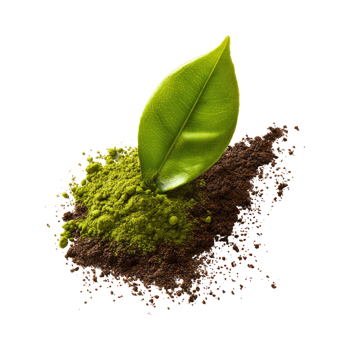 GREEN TEA